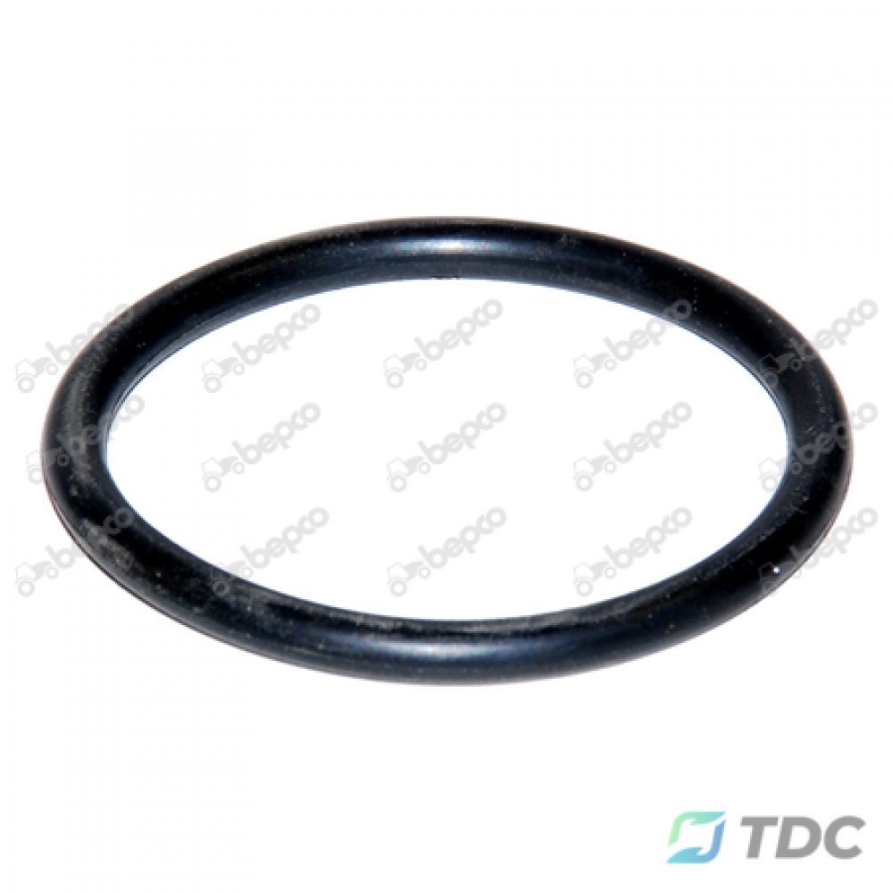 Guminis žiedas 200 X 3.00 MM