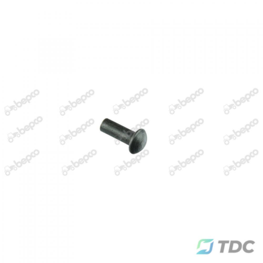 Kniedės Ø 6.0x16 mm - 0.5 KG - apie 90 vnt