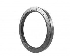 Riebokšlis 100x125x12