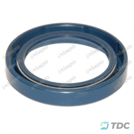 Riebokšlis 55x72x10