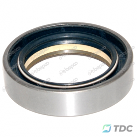 Riebokšlis 45x65x15